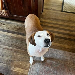 Meet your Posher, Mack
